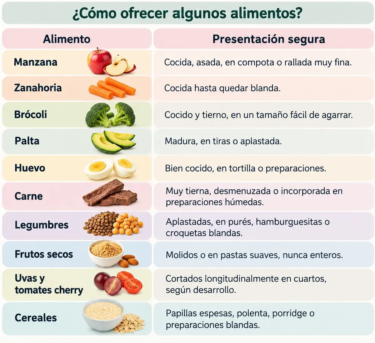 Infografía: cómo ofrecer algunos alimentos. Manzana: cocida, asada, en compota o rallada muy fina. Zanahoria: cocida hasta quedar blanda. Brócoli: cocido y tierno, en un tamaño fácil de agarrar. Palta: madura, en tiras o aplastada. Huevo: bien cocido, en tortilla o preparaciones. Carne: muy tierna, desmenuzada o incorporada en preparaciones húmedas. Legumbres: aplastadas, en purés, hamburguesitas o croquetas blandas. Frutos secos: molidos o en pastas suaves, nunca enteros. Uvas y tomates cherry: cortados longitudinalmente en cuartos, según desarrollo. Cereales: papillas espesas, polenta, porridge o preparaciones blandas.